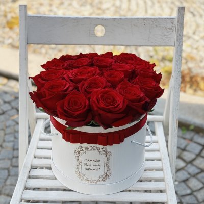 Flower box červených růží