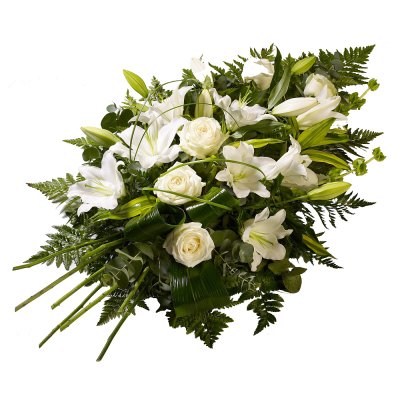 Зелено-біла симпатія