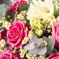 Roses and freesias
