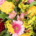 Alstromerias and roses