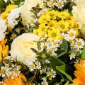 White roses and gerberas