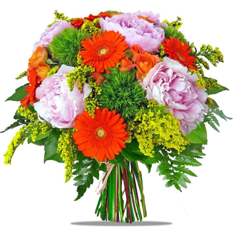 Peonies and mini Gerberas